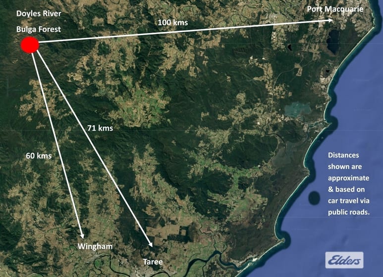 1280 Doyles River Road Bulga Forest NSW 2429 - Image 2
