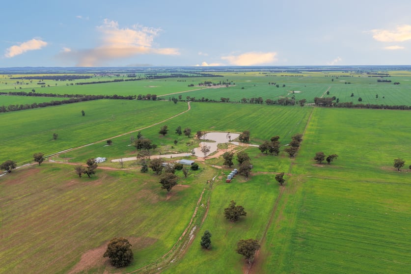 Click to view all images 679 Bellarwi Road West Wyalong NSW 2671 - Image 3