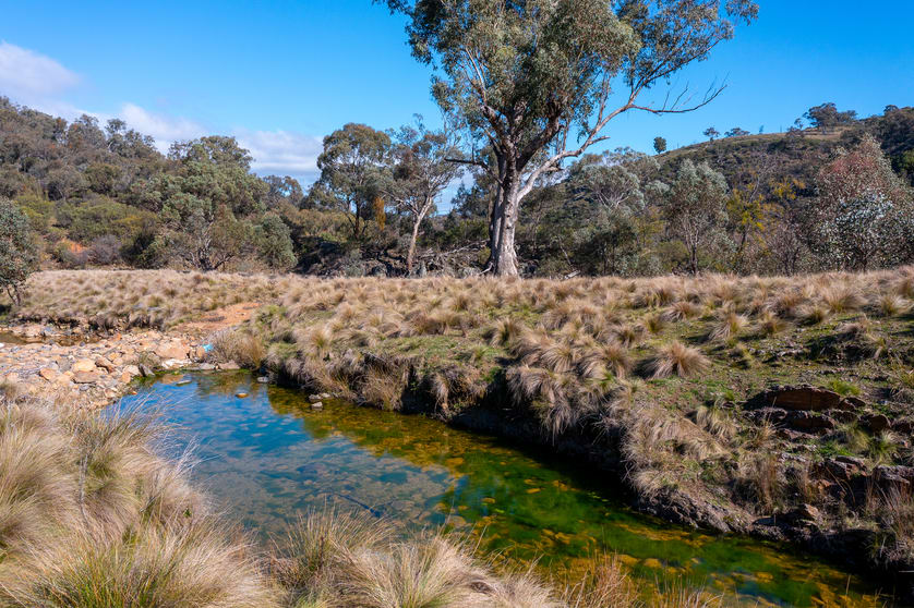1697 Triamble Road Mudgee NSW 2850 - Image 3