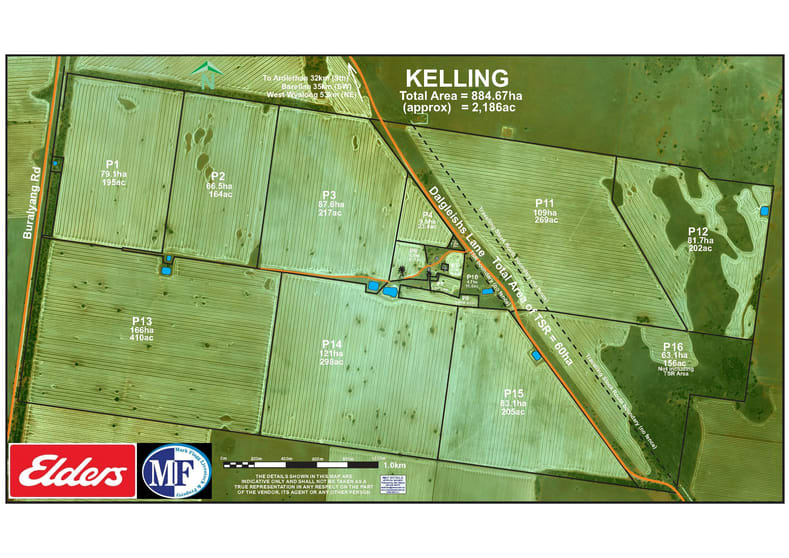 337 Dalgleishs Lane Tallimba NSW 2669 - Image 1