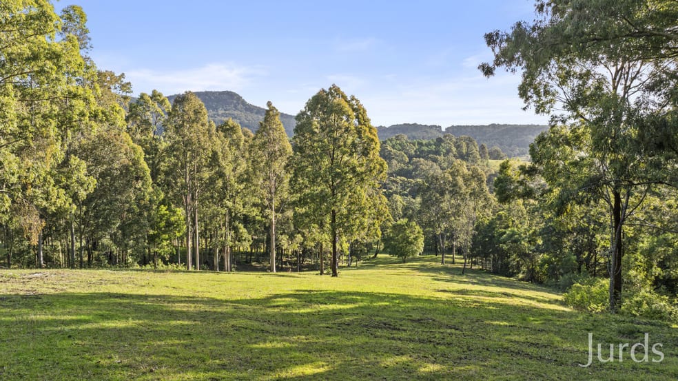 Click to view all images 157 Rodney Road Mount Vincent NSW 2323 - Image 1