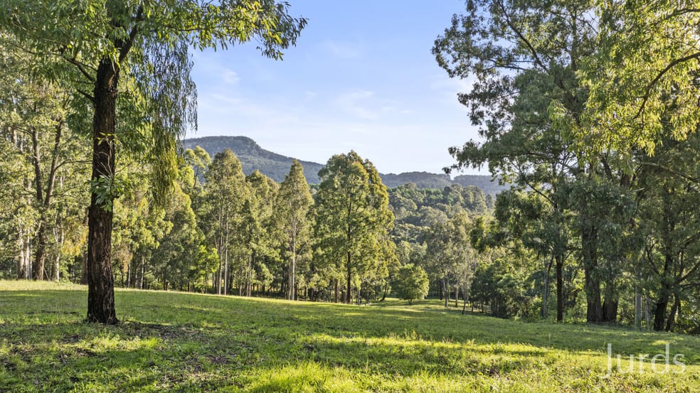 Click to view all images 157 Rodney Road Mount Vincent NSW 2323 - Image 2