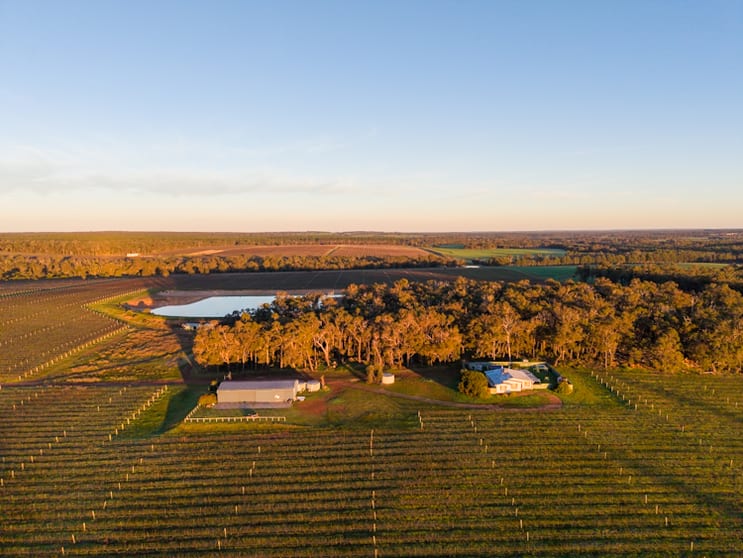 186 Ferngrove Road Frankland River WA 6396 - Image 2