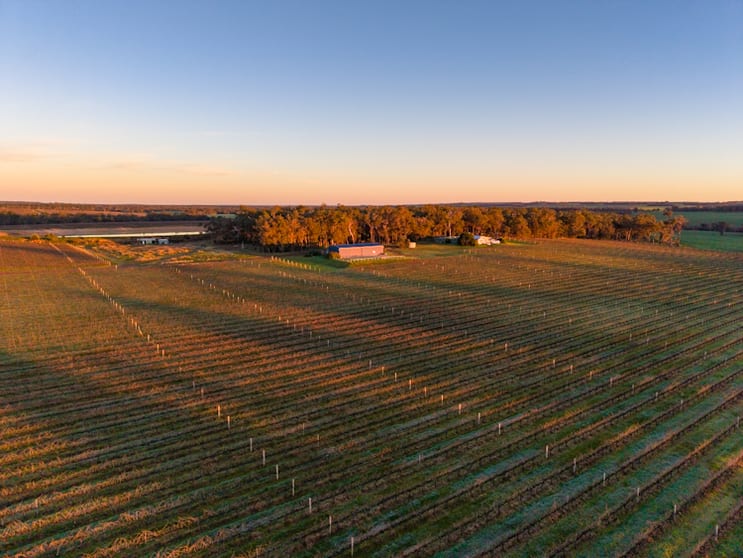 186 Ferngrove Road Frankland River WA 6396 - Image 3