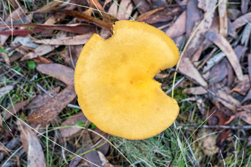 Click to view all images 'Hardings Bay Retrea Lake Leake Road Lake Leake TAS 7210 - Image 3