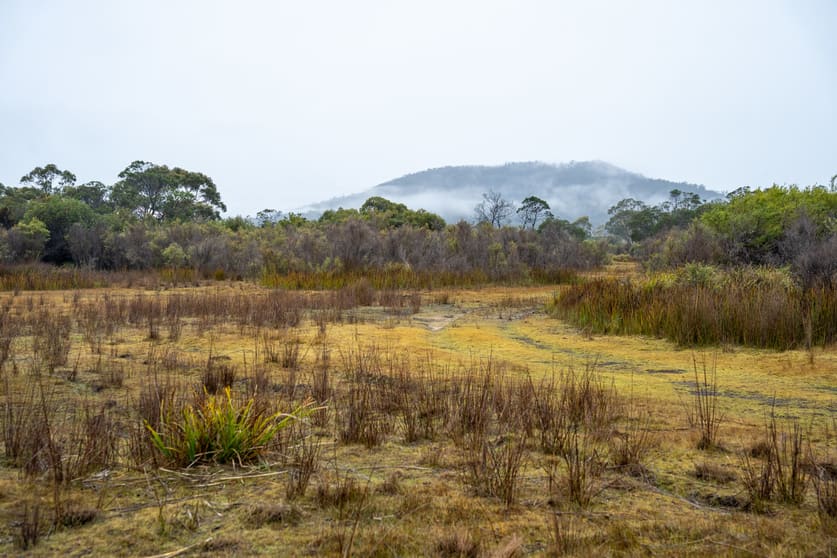 202-238 Flacks Road Coles Bay TAS 7215 - Image 3