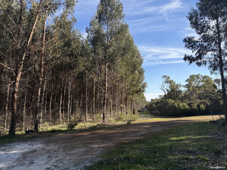 Click to view all images 681 Chorkerup Road Narrikup WA 6326 - Image 3