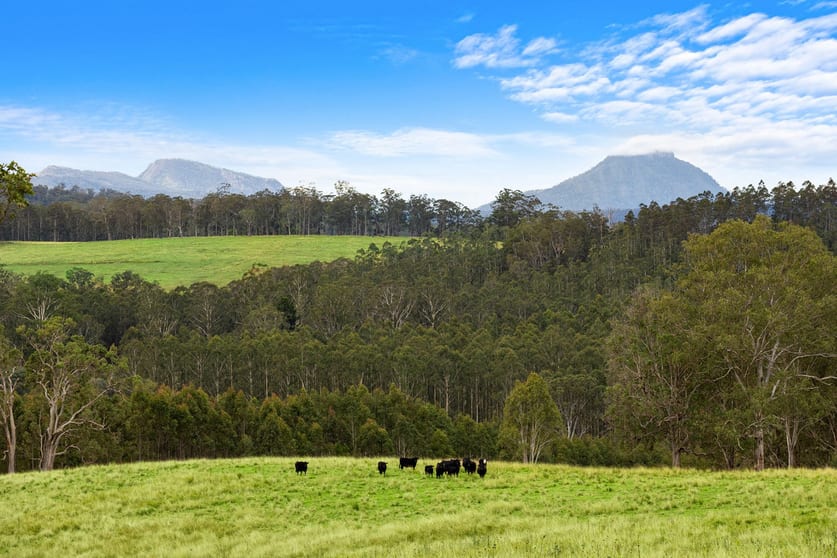 Click to view all images 1212 Beaury Creek Road Urbenville NSW 2475 - Image 3