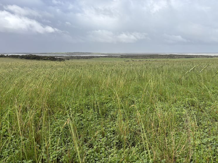 Click to view all images Lot 11 Sceale Bay Road Yanerbie SA 5680 - Image 1