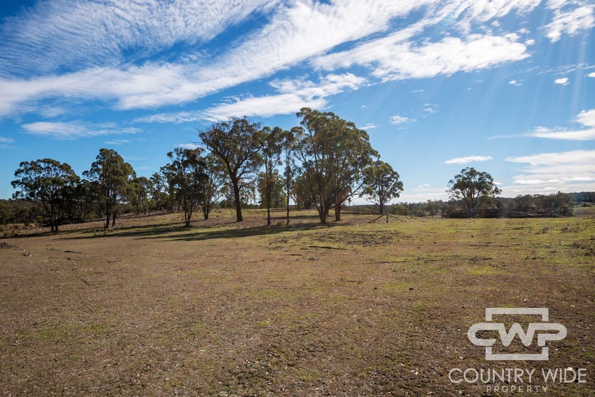 Click to view all images 454 Silent Grove Road Torrington NSW 2371 - Image 2