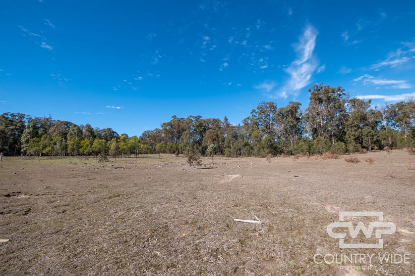 Click to view all images 454 Silent Grove Road Torrington NSW 2371 - Image 3