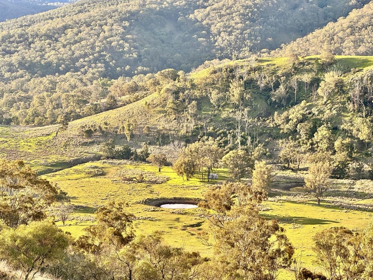Click to view all images "Bindallah Sth" Warlands Creek Road Blandford NSW 2338 - Image 2