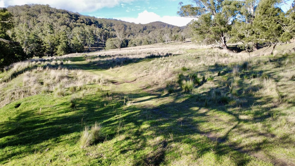 Click to view all images "Bindallah Sth" Warlands Creek Road Blandford NSW 2338 - Image 3