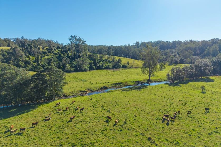 Click to view all images 1635 Lorne Road Kerewong NSW 2439 - Image 2