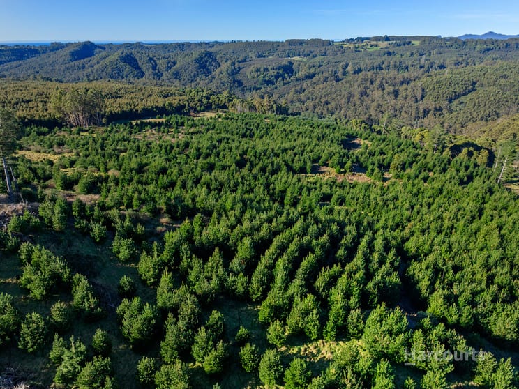 Click to view all images 00 North Prospect Road West Ridgley TAS 7321 - Image 3