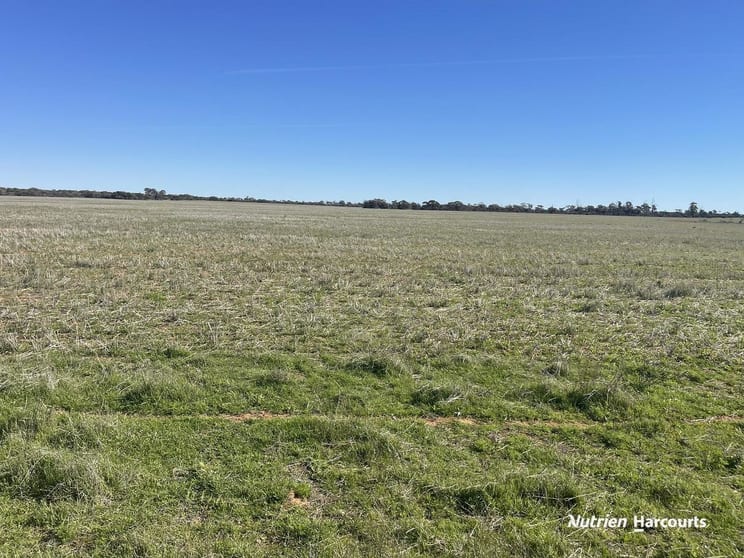 Click to view all images 331 Red Dam Road Cleary WA 6472 - Image 1