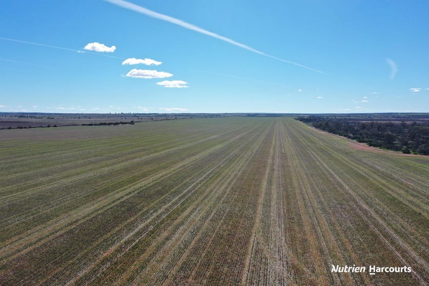 Click to view all images 331 Red Dam Road Cleary WA 6472 - Image 3