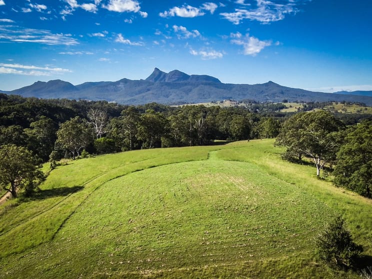 Click to view all images Tyalgum Creek NSW 2484 - Image 3