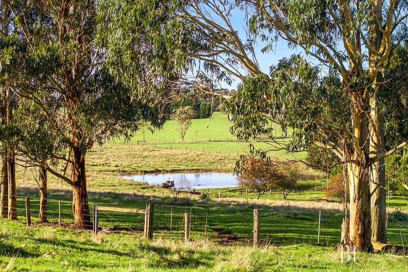 Click to view all images 615 Old Mill Road Bylands VIC 3762 - Image 3