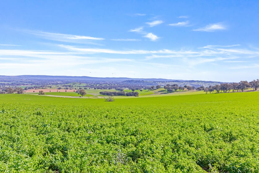 Click to view all images 404 Kangaroo Flat Road Cowra NSW 2794 - Image 2