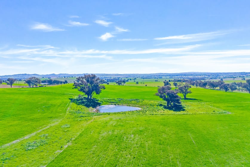 Click to view all images 404 Kangaroo Flat Road Cowra NSW 2794 - Image 3