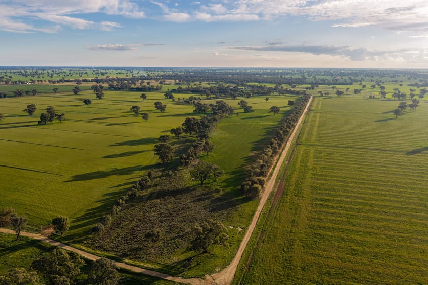 Click to view all images 1484 Centre Road Moama NSW 2731 - Image 1