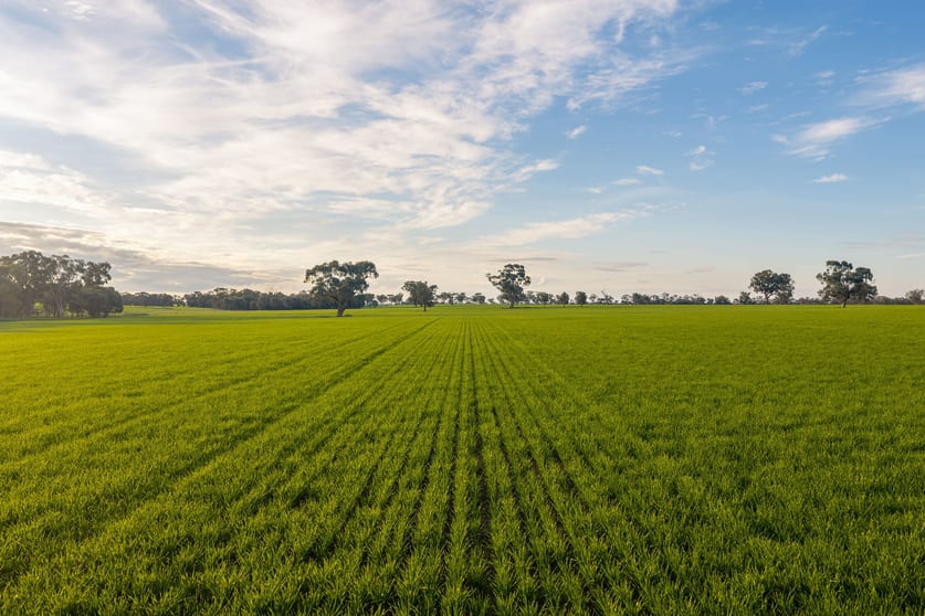 Click to view all images 1484 Centre Road Moama NSW 2731 - Image 3
