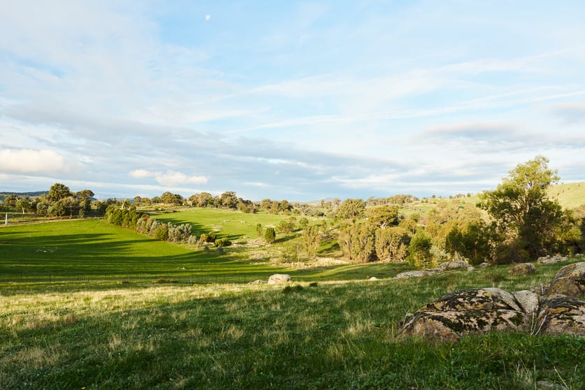 254 FERNHILLS ROAD Sheans Creek VIC 3666 - Image 2