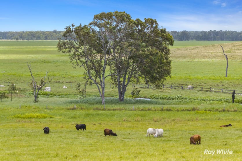 Click to view all images 0 Serpentine Road Barmoya QLD 4703 - Image 2