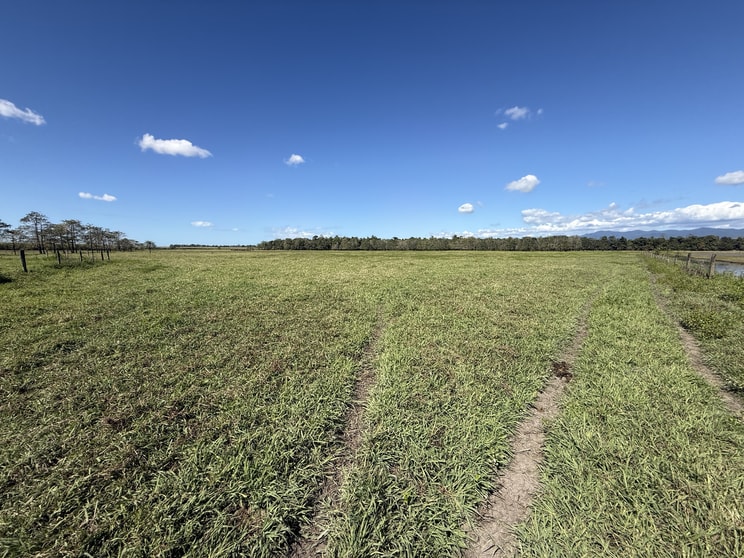 Euramo QLD 4854 - Image 3