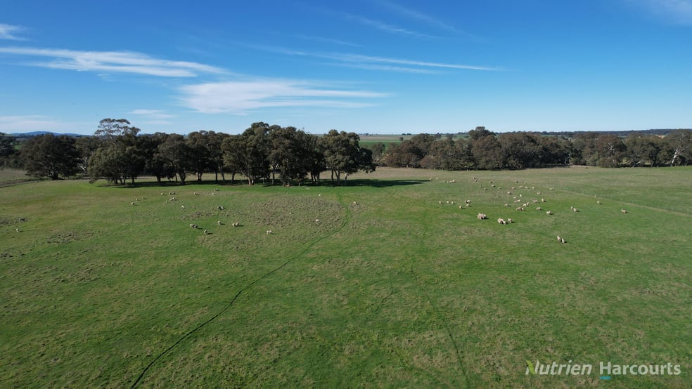 175 Landrigan Road Carisbrook VIC 3464 - Image 3