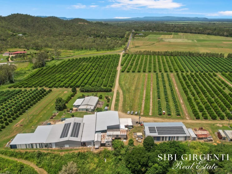 733 Bilwon Road Biboohra QLD 4880 - Image 3