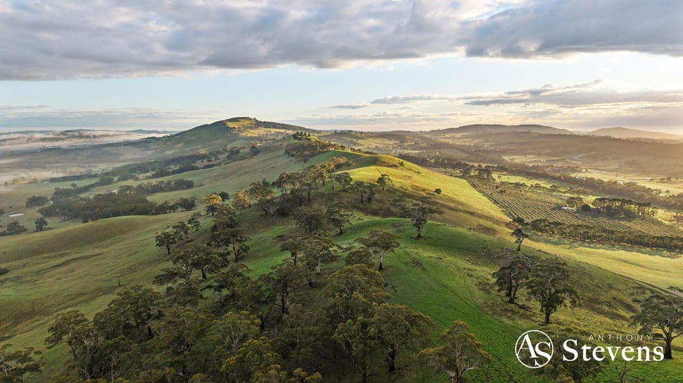 260 & 310 Mt William Road Goldie VIC 3435 - Image 2