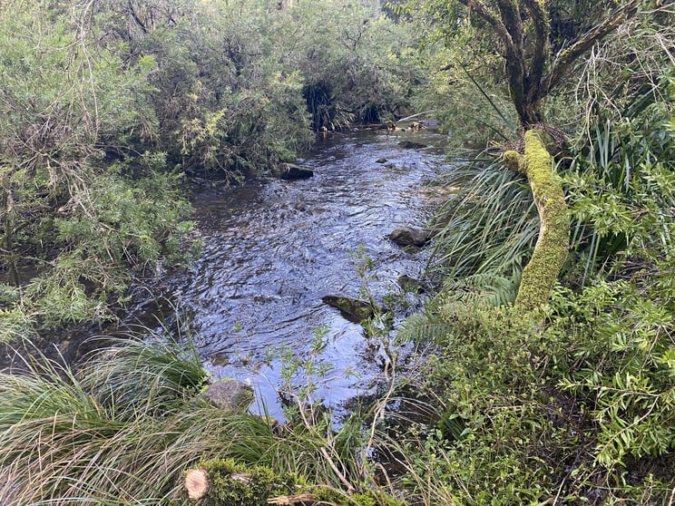 1198 Bakers Creek Road Gloucester NSW 2422 - Image 3
