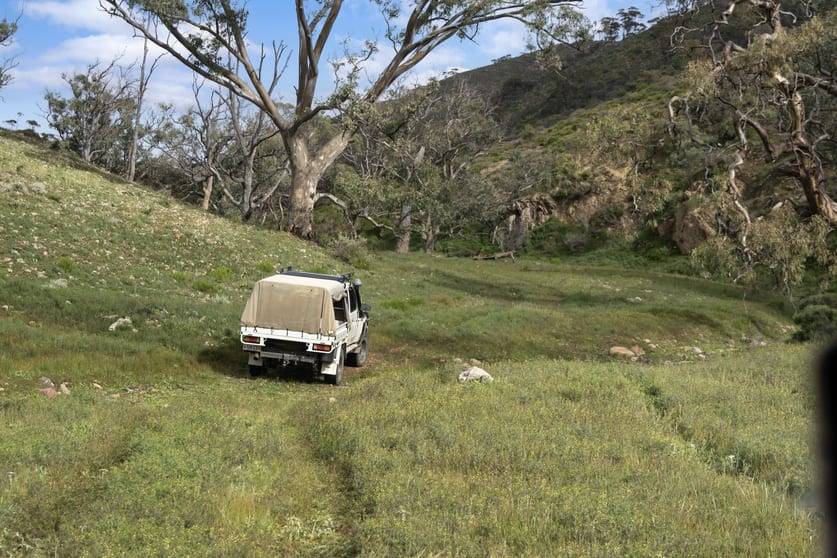 Lot 243 Flinders Ranges Way Quorn SA 5433 - Image 1