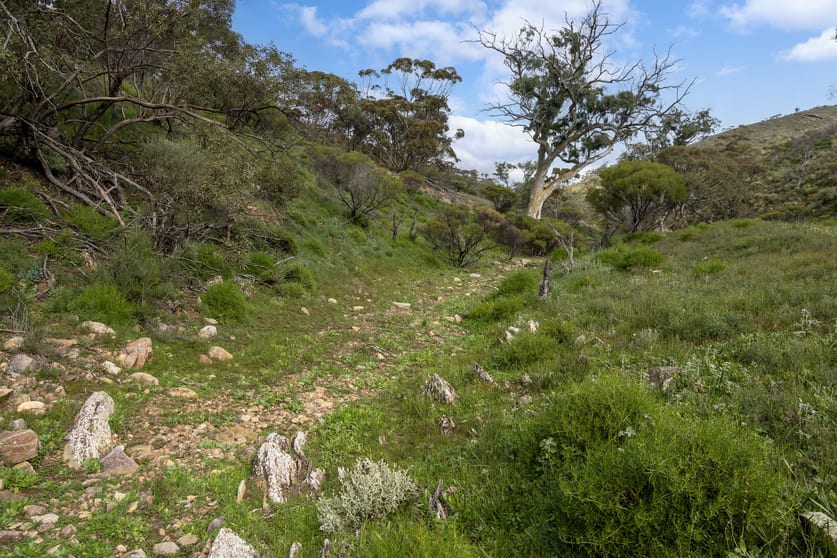 Lot 243 Flinders Ranges Way Quorn SA 5433 - Image 2