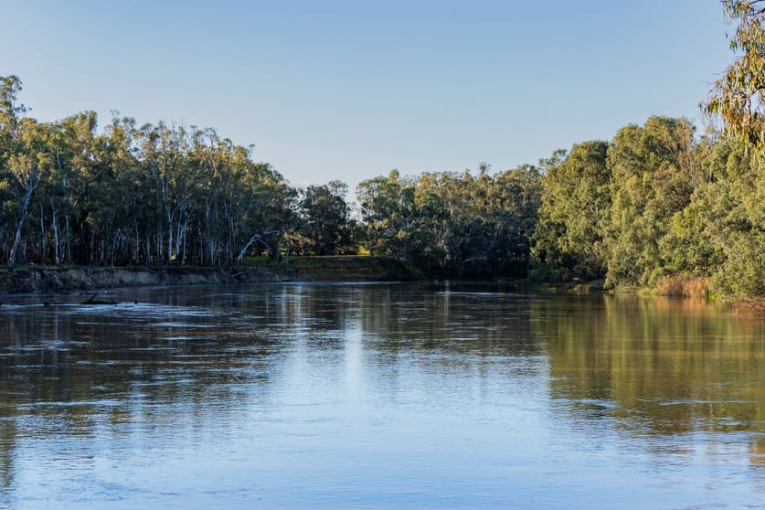 Click to view all images 10474 Sturt Highway Narrandera NSW 2700 - Image 2