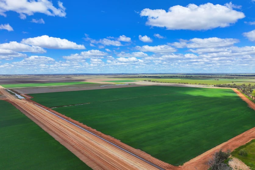 Click to view all images 10474 Sturt Highway Narrandera NSW 2700 - Image 3