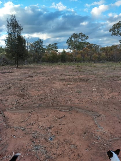Tara QLD 4421 - Image 1