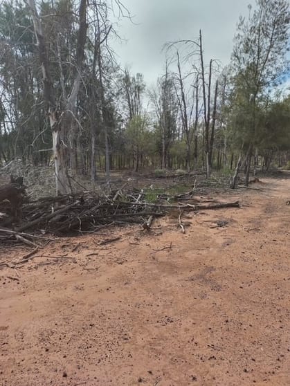 Tara QLD 4421 - Image 2