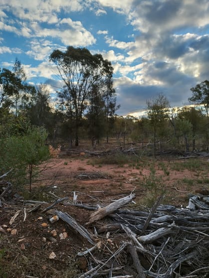 Tara QLD 4421 - Image 3