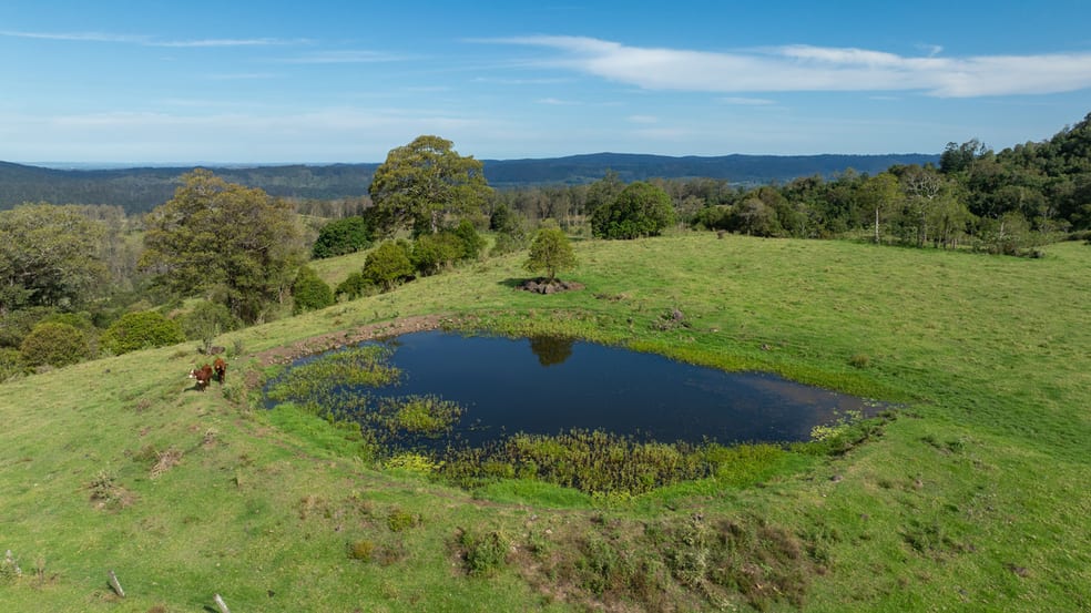 Click to view all images Ryans Creek Road Mummulgum NSW 2469 - Image 1