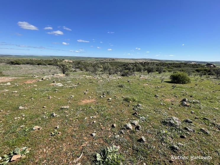 Click to view all images Lot 65 Forrester Road Mount Erin WA 6532 - Image 3