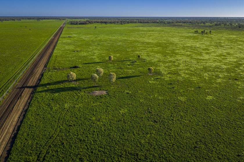 Click to view all images 7856 Carinda Road Gungalman NSW 2829 - Image 2