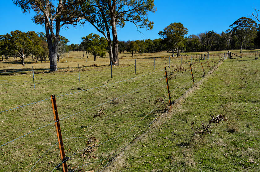 320 Cemetery Road Torrington NSW 2371 - Image 3