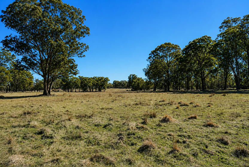320 Cemetery Road Torrington NSW 2371 - Image 2