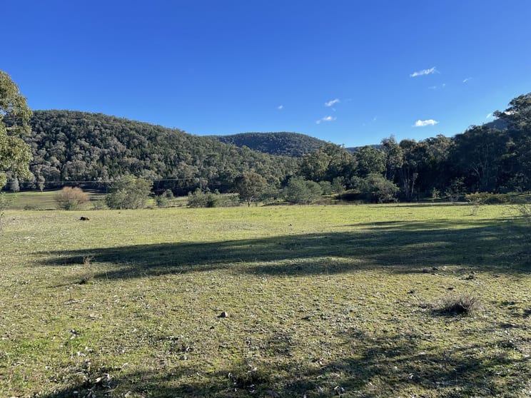 Click to view all images 1657 Kangarooby Road Gooloogong NSW 2805 - Image 3