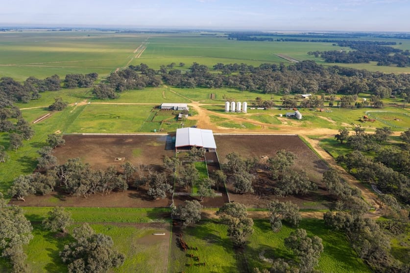 Click to view all images 'Whittier Park' 2924 Barham Road Deniliquin NSW 2710 - Image 2