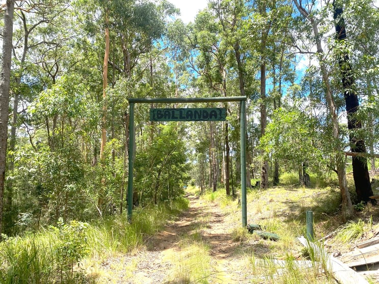 Click to view all images Lot 220 Comboyne Road Byabarra NSW 2446 - Image 2