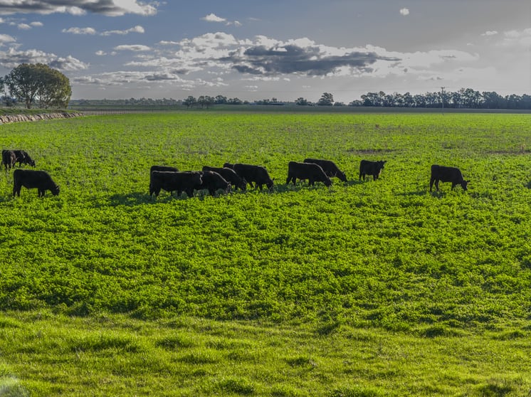 Click to view all images 21R Nantilla Road Ballimore NSW 2830 - Image 1